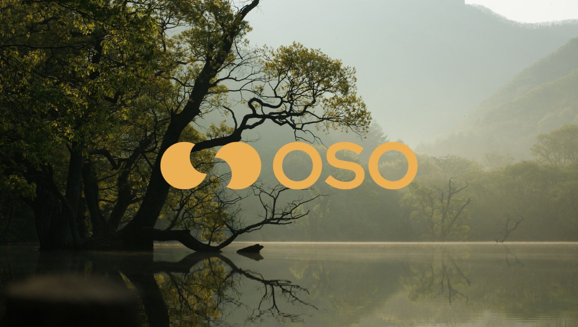 OSO.Earth | Crafting a Sustainable Visual Identity - 7DOTS